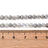Natural Labradorite Beads Strands G-RM2025-A28-5