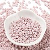 Baking Paint Glass Seed Beads SEED-H002-I-A526-2