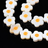Natural Freshwater Shell Beads Strands SHEL-N003-31C-01-3