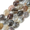 Natural Botswana Beads Strands G-H004-B02-04-2