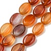 Natural Red Agate(Dyed & Heated) Beads Strands G-K365-B02-01-2