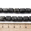 Natural Larvikite Beads Strands G-R015-A04-5