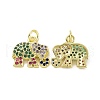Brass Micro Pave Colorful Cubic Zirconia Charms KK-E068-VF108-1