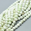 Natural Australian Turquoise(Jasper) Beads Strands G-D0010-06A-6mm-1