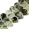 Natural Prehnite Beads Strands G-P534-A01-02-1