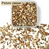 50G Natural Picture Jasper Chips G-YW0001-73-2
