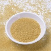 MIYUKI Delica Beads SEED-J020-DB1112-2
