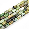 Natural Serpentine Beads Strands G-N346-01B-04-2
