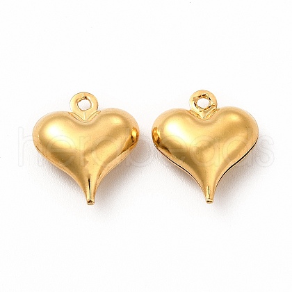 304 Stainless Steel Pendants STAS-F289-07G-1