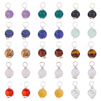 30pcs 15 Styles Natural Mixed Gemstone Round Charms PALLOY-AB00240-1