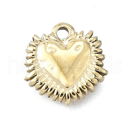 304 Stainless Steel Charms STAS-H233-17G-1