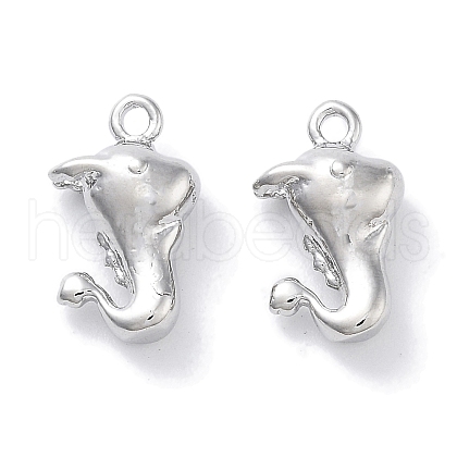 Brass Charms KK-C077-01P-1