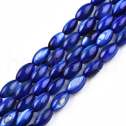 Natural Freshwater Shell Beads Strands SHEL-N026-212-B01-1