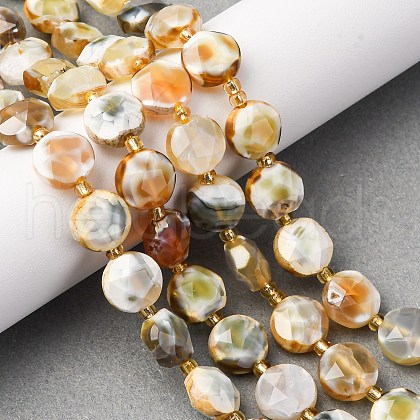 Dyed & Heated Natural Fire Crackle Agate Beads Strands G-C116-A175-01-1