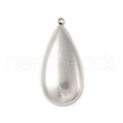 304 Stainless Steel Pendants STAS-P388-03P-1