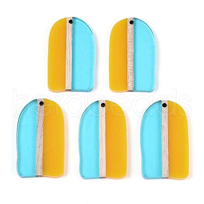 Transaprent Resin & Wood Pendants RESI-T057-81-1