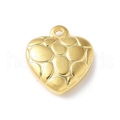 304 Stainless Steel Pendants STAS-I330-017G-1