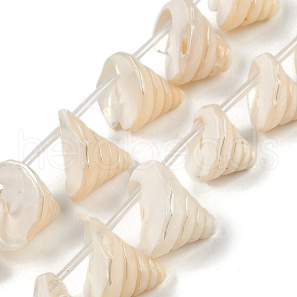 Natural Shell Beads Strands X-SHEL-K009-11-1