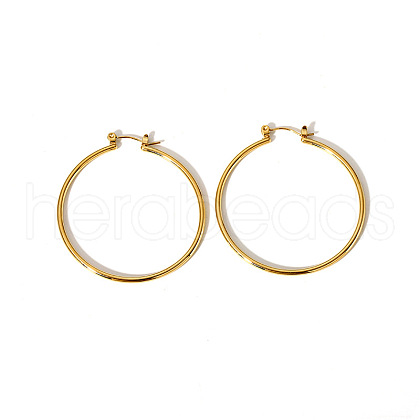 Stainless Steel Hoop Earrings SQ4494-1-1