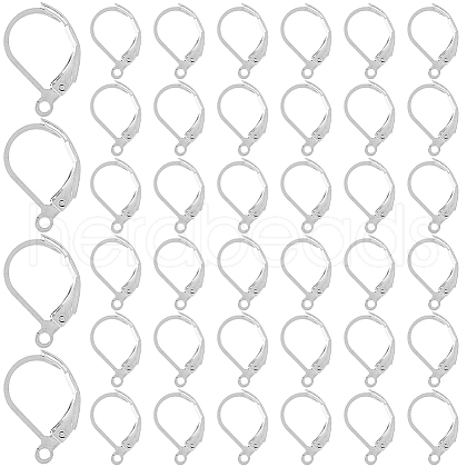 SOFPLATE 304 Stainless Steel Leverback Earring Findings STAS-SP0001-01B-1