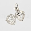 Filigree Heart Brass Cage Pendants KK-D389-02P-2