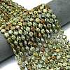 Natural Rhyolite Jasper Beads Strands G-C116-A74-02-1