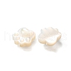Natural White Shell Beads BSHE-Z008-05-3