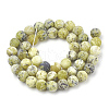 Natural Yellow Turquoise(Jasper) Beads Strands G-T106-297-3