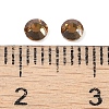 Glass Flat Back Rhinestone RGLA-C002-SS12-246-2