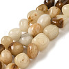 Natural Topaz Jade Beads Strands G-B078-D28-01-2