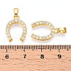 Brass Micro Pave Cubic Zirconia Pendants KK-N254-240G-3