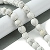 Natural Howlite Beads Strands G-H023-A16-01-2