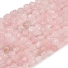 Natural Rose Quartz Beads Strands G-Q060-E21-02-2