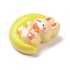 Resin Cabochons X1-CRES-Z010-03M-2