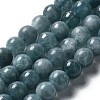 Dyed Natural Malaysia Jade Beads Strands G-G021-01B-01-2
