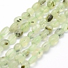Natural Prehnite Beads Strands G-K230-20-1