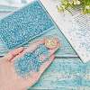 SUNNYCLUE Transparent Electroplate Crushed Glass Craft GLAA-SC0001-98C-01-3