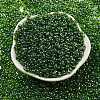Glass Seed Beads SEED-K009-10B-01-2