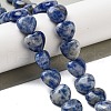 Natural Blue Spot Jasper Beads Strands G-B022-26C-1