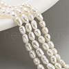 Natural Cultured Freshwater Pearl Beads Strands PEAR-P062-01F-1