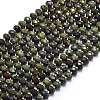 Natural Dragon Blood Beads Strands G-P573-A40-01-2