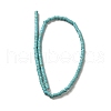 Synthetic Turquoise Dyed Beads Strands G-E594-20A-2