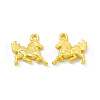 Rack Plating Alloy Pendants FIND-G045-14MG-1