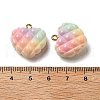 Rainbow Color Opaque Resin Pendants X-RESI-F035-01-6