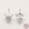 925 Sterling Silver Charms STER-K029-12MS-1