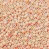 Baking Paint Glass Seed Beads SEED-H002-I-A527-3