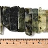 Natural Prehnite Beads Strands G-S386-D06-5