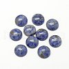 Natural Blue Spot Jasper Cabochons G-R416-10mm-45-1