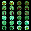  24Pcs 12 Styles Transparent Hand Painting Acrylic Beads OACR-TA0001-29-2