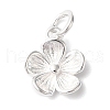 925 Sterling Silver Charms STER-M120-01D-S-1